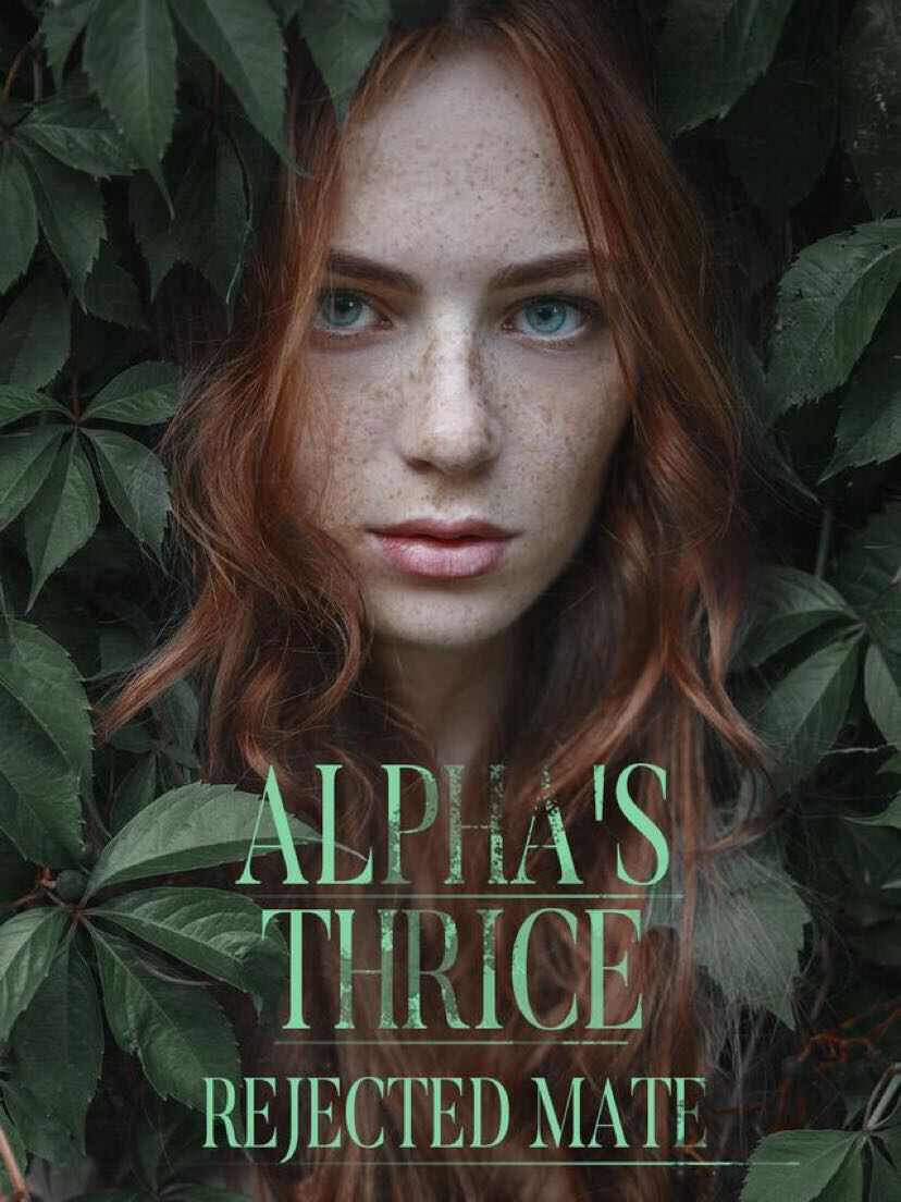 The Mate Who Was Rejected by Alpha Three Times