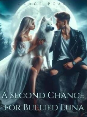 Winter's Embrace: The Rowan Blaze Chronicles