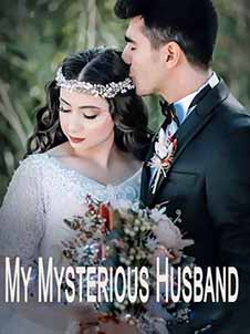 My Mysterious Husband novel Read online
