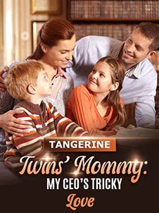 The CEO's Forbidden Love for the Twin's Mother