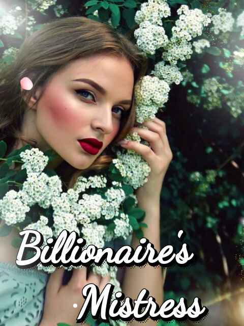 billionaire's mistress is a hidden heiress novel