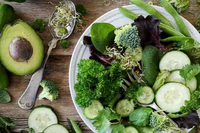 The Green Revolution: Plant-Based Weight Loss Diet Unleashed!