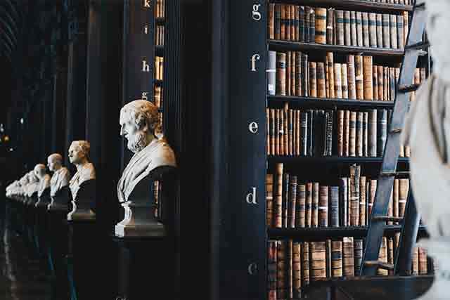 The Comedy and Craft of Commercial Litigation: A Professional Analysis